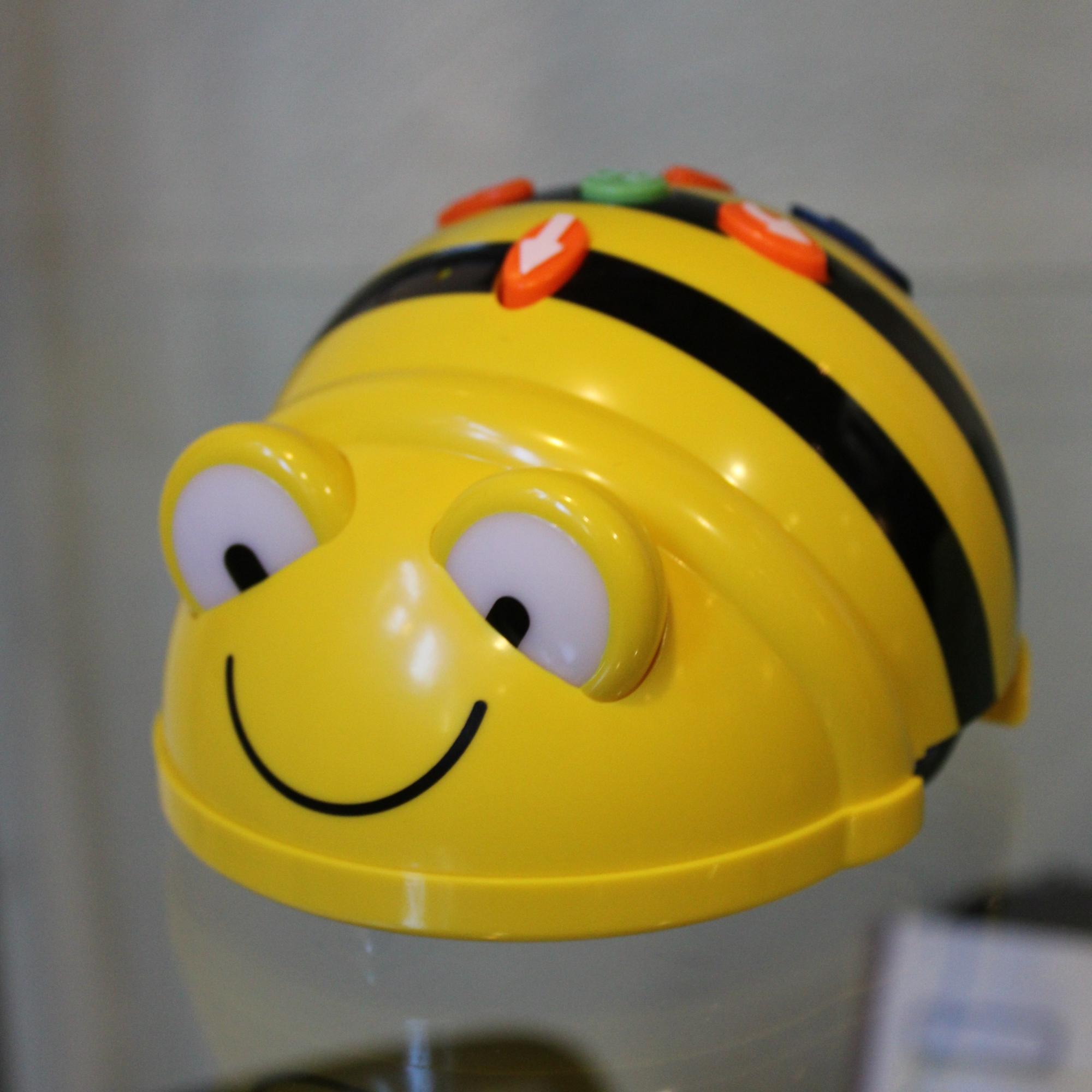 TechnoThek - Bee-Bot