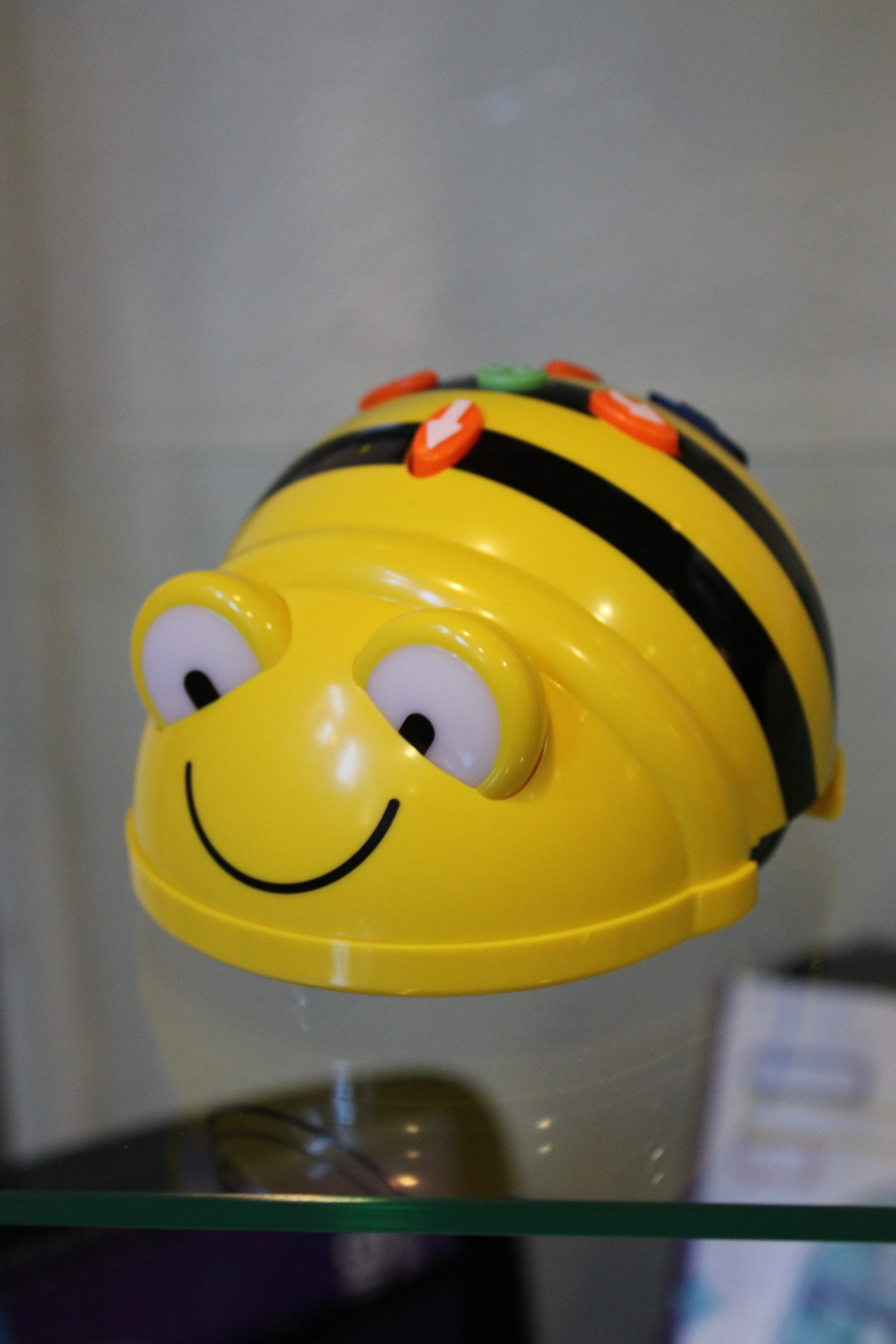 TechnoThek - Bee-Bot