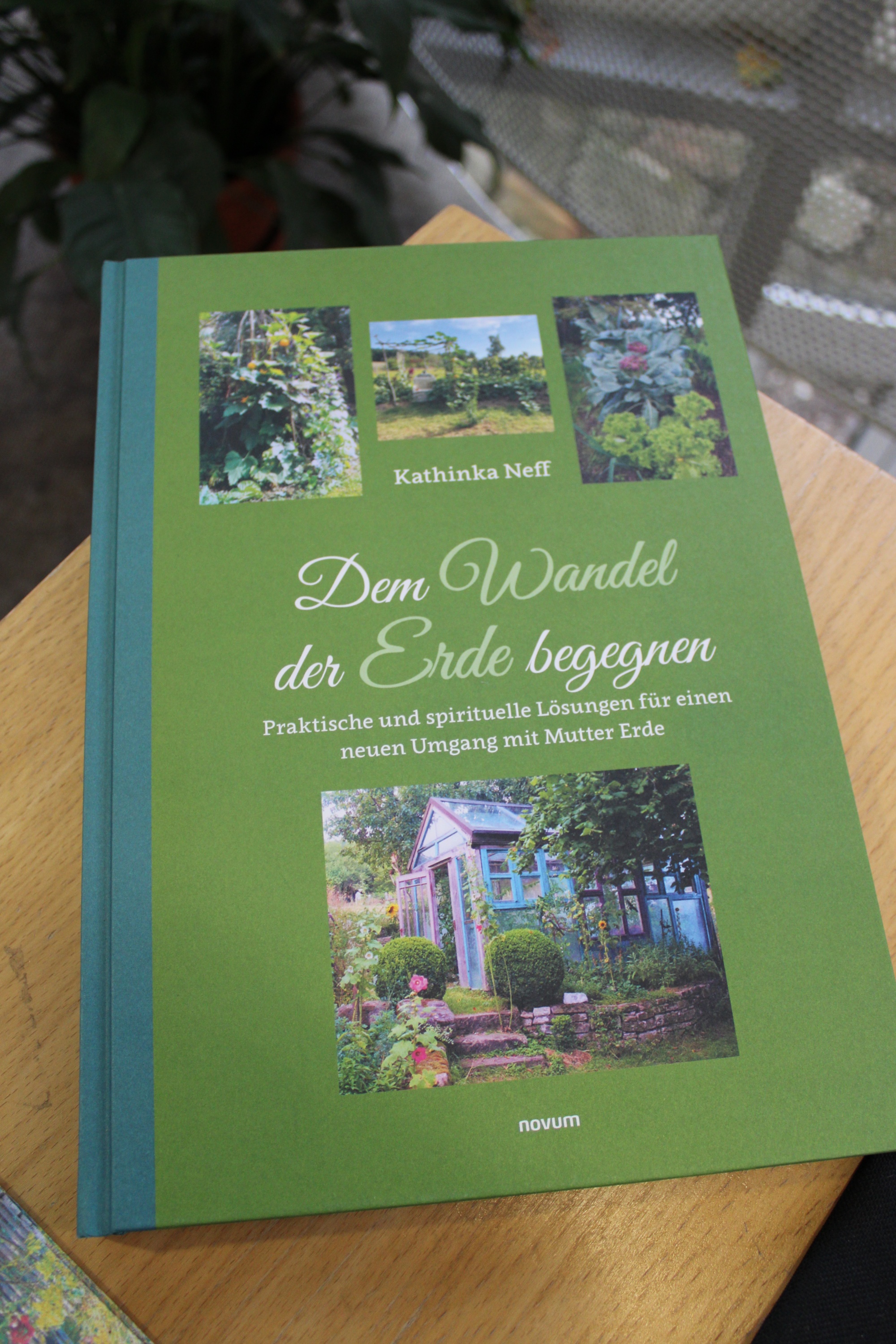 Buch Dem Wandel der Erde begegnen